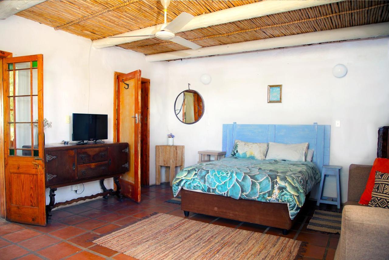 Aloe Guest House Prince Albert Dış mekan fotoğraf
