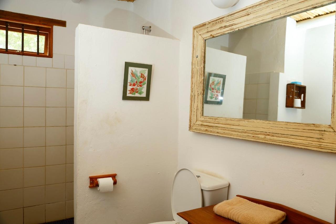 Aloe Guest House Prince Albert Dış mekan fotoğraf