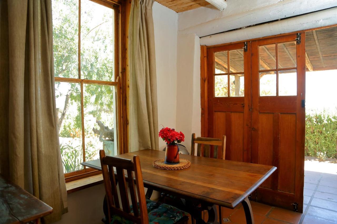 Aloe Guest House Prince Albert Dış mekan fotoğraf