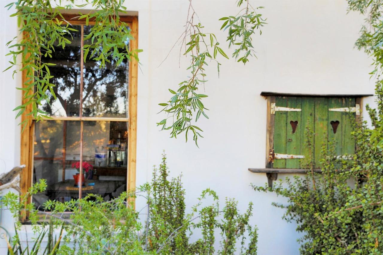 Aloe Guest House Prince Albert Dış mekan fotoğraf
