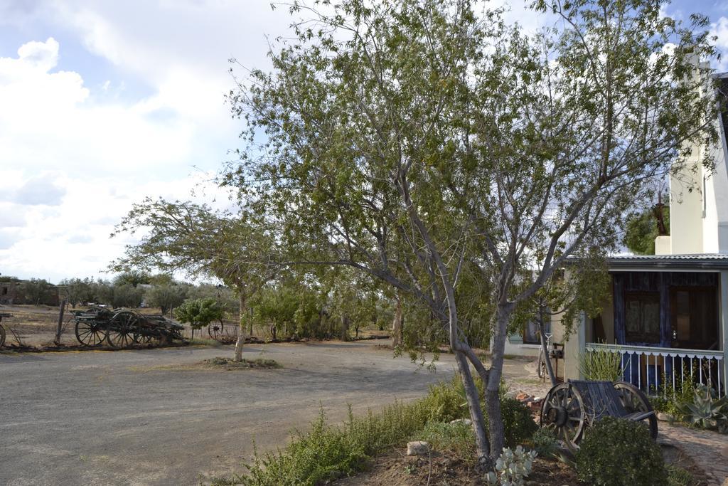 Aloe Guest House Prince Albert Oda fotoğraf