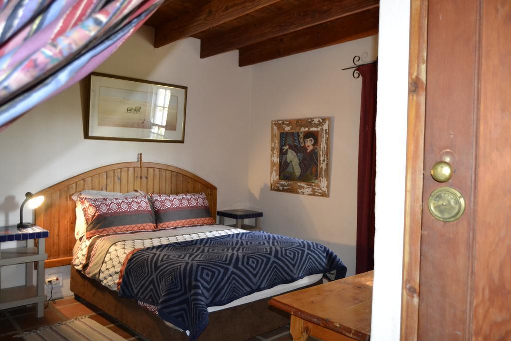 Aloe Guest House Prince Albert Dış mekan fotoğraf