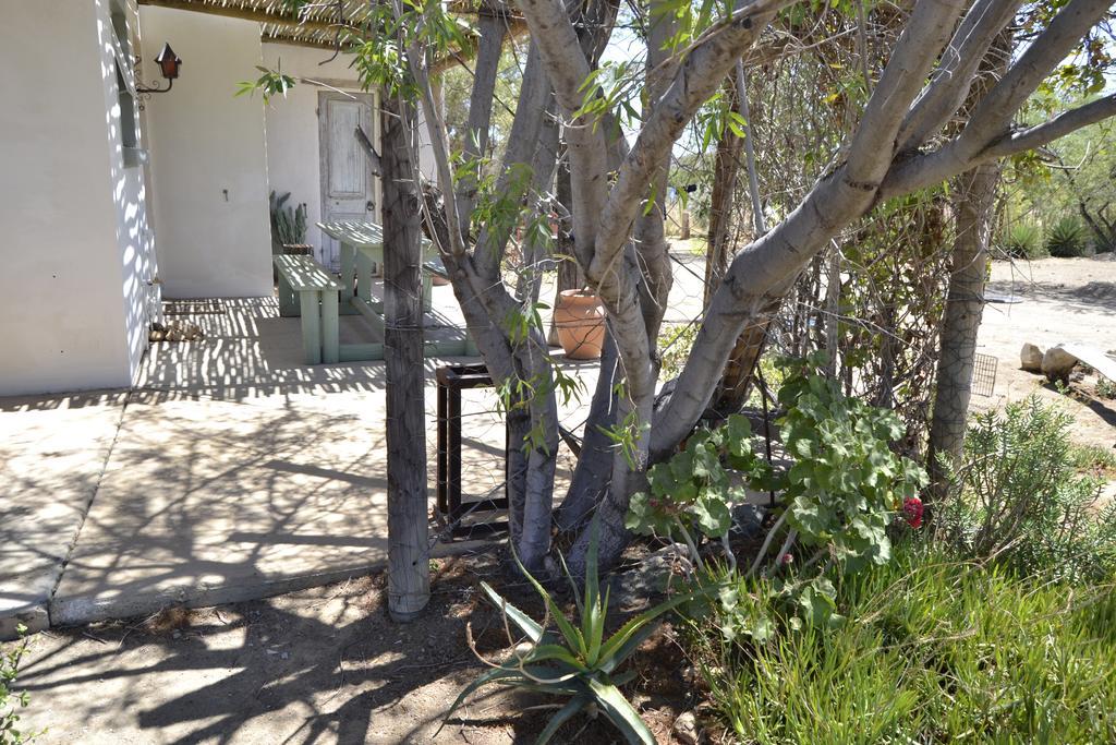 Aloe Guest House Prince Albert Dış mekan fotoğraf