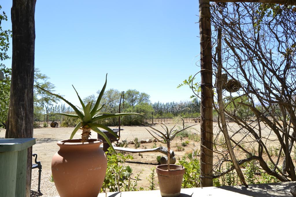 Aloe Guest House Prince Albert Dış mekan fotoğraf