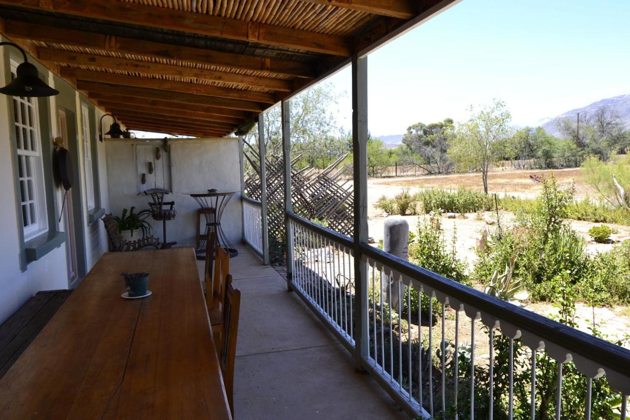 Aloe Guest House Prince Albert Dış mekan fotoğraf